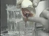 [clip_image007%255B3%255D.jpg]