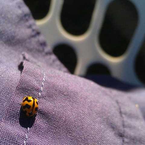 [IMG_20120502_105157%255B4%255D.jpg]