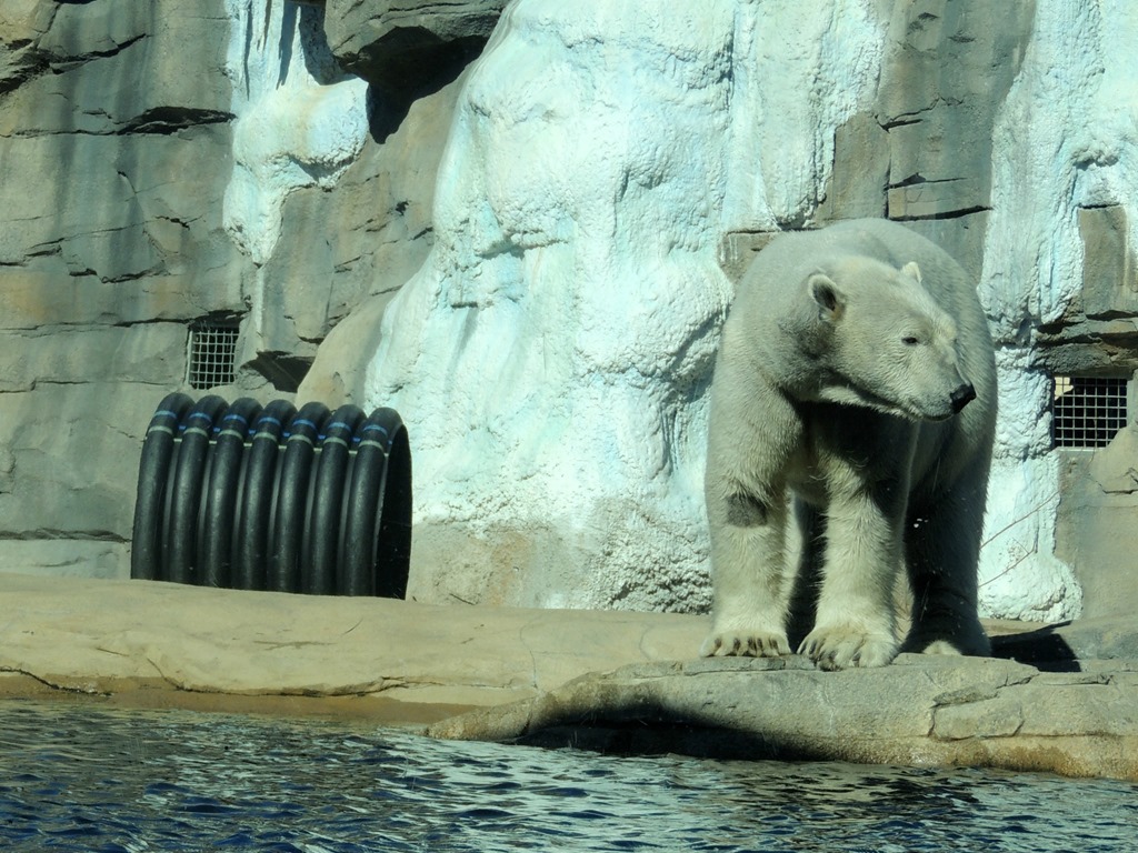 [DSCN2065%255B3%255D.jpg]