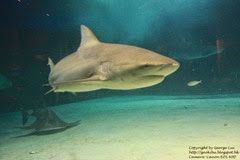IMG_3053 IMG_3053