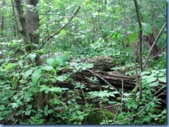 4608 Bass Lake Provincial Park - Waterview Trail hike - Post 9 4608 Bass Lake Provincial Park - Waterview Trail hike - Post 9