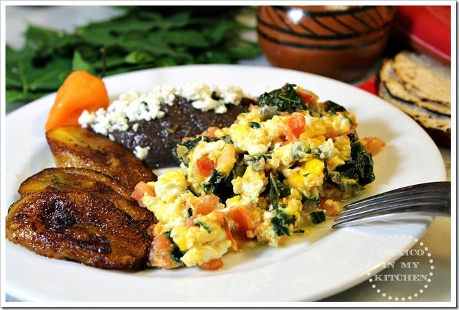 Scrambled Eggs with Chaya1 Scrambled Eggs with Chaya1
