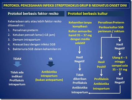 iNFEKSI bAKTERI DAN pROTOZOA 2 iNFEKSI bAKTERI DAN pROTOZOA 2