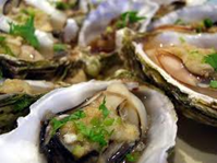 Oysters Oysters