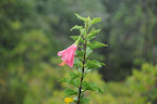 DSC_5967.JPG