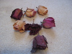 IMG_2072 IMG_2072