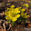 dsc07157.jpg