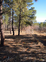 DSCN1919.JPG Photo
