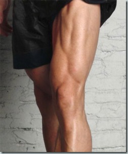 cuadriceps