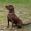 Batnuni Fishing trip 2011 057.JPG