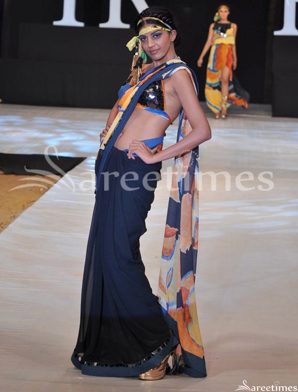 [Pria_Kataria_Puri_Saree%255B4%255D.jpg]