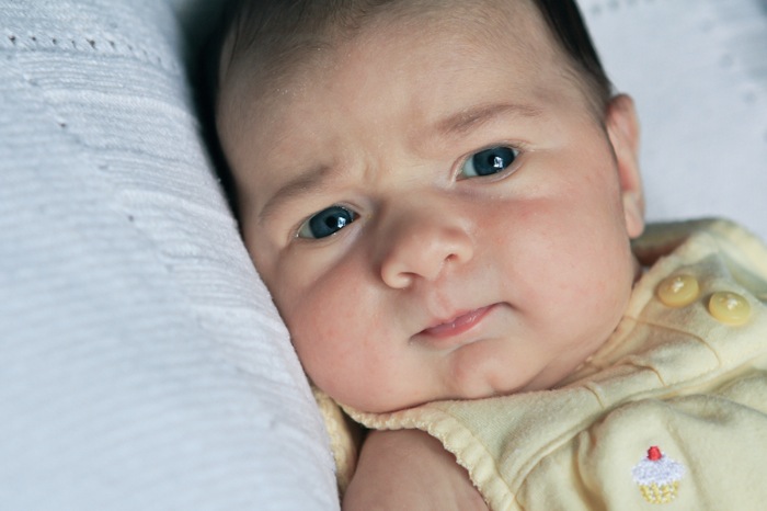 5weeks-3.jpg 5weeks 3