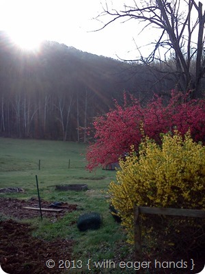 IMG_20120323_084404