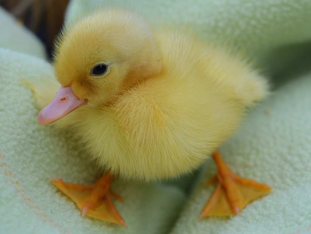 [DSC_0352-001%255B5%255D.jpg]