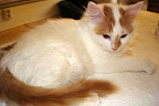 Flingan 050420 - 2.jpg