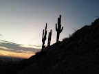 IMG_20110808_193632.jpg