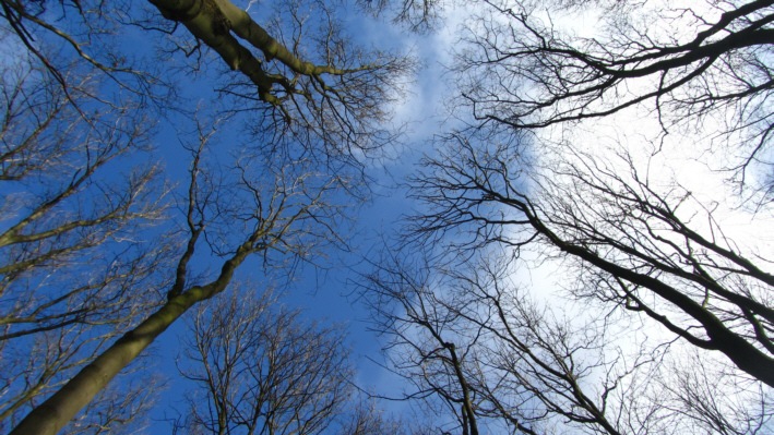 [In%2520den%2520Himmel%255B5%255D.jpg]