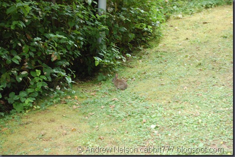 DSC_0865 DSC_0865