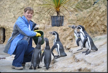 Denise feeding Penguins (resized) DSC_2226