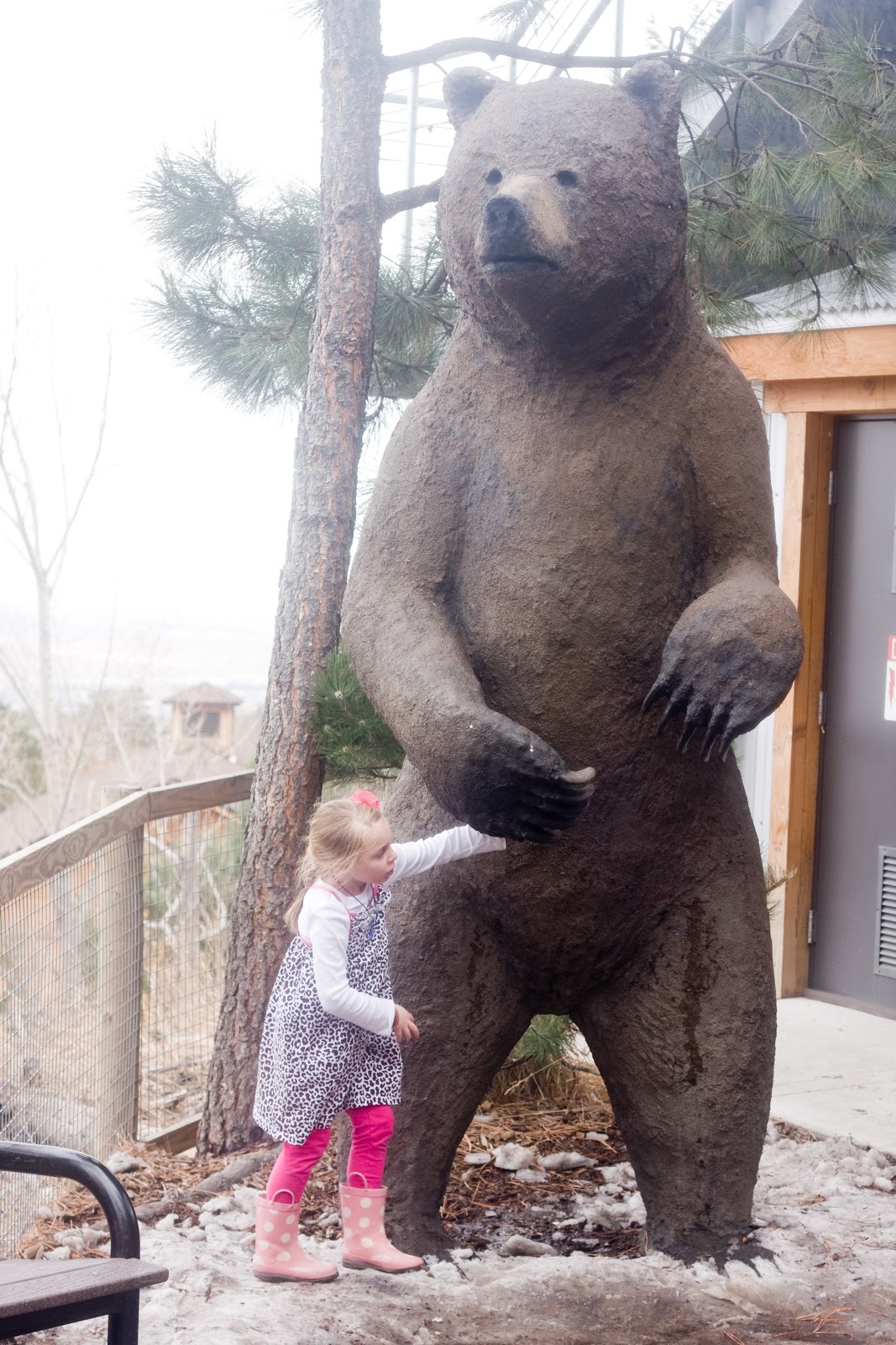 [03%252028%252013_soph%2520bear%255B3%255D.jpg]