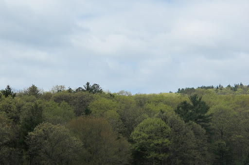 A beautiful (albeit cloudy) spring New England day.