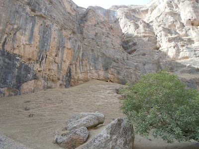 DSCN3852.jpg
