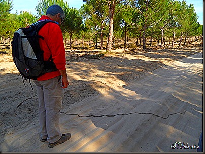 SAM_0020 SAM_0020