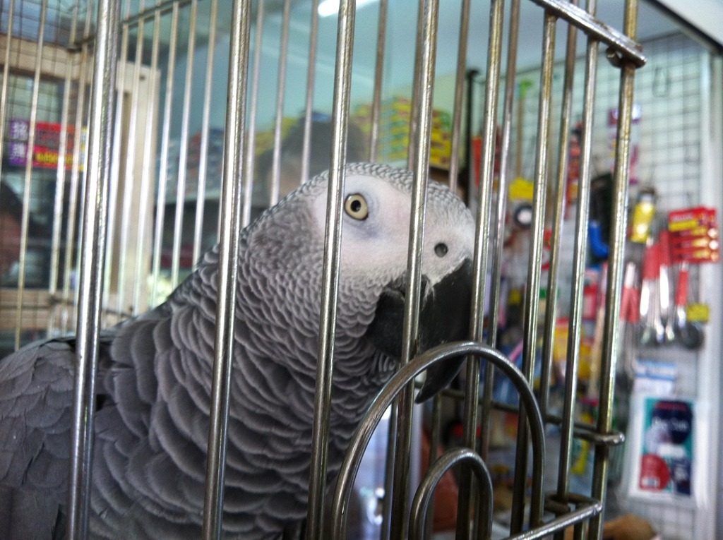 [IMG_6133%255B3%255D.jpg]