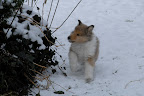 _DSC0035.JPG