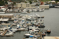 IMG_4568.JPG