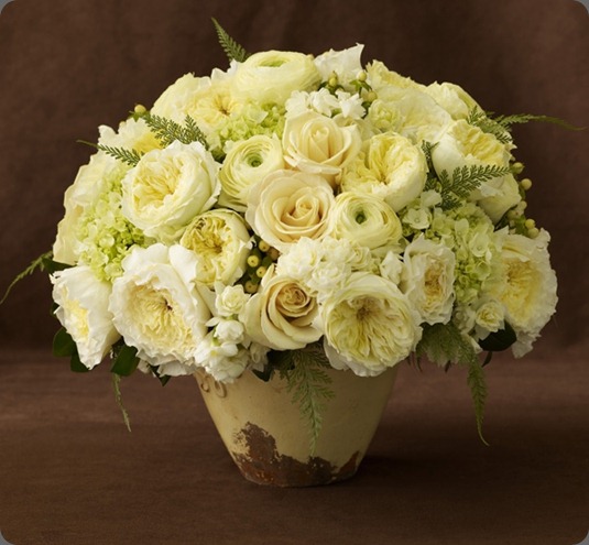 Citrus_4_UL belle fleur