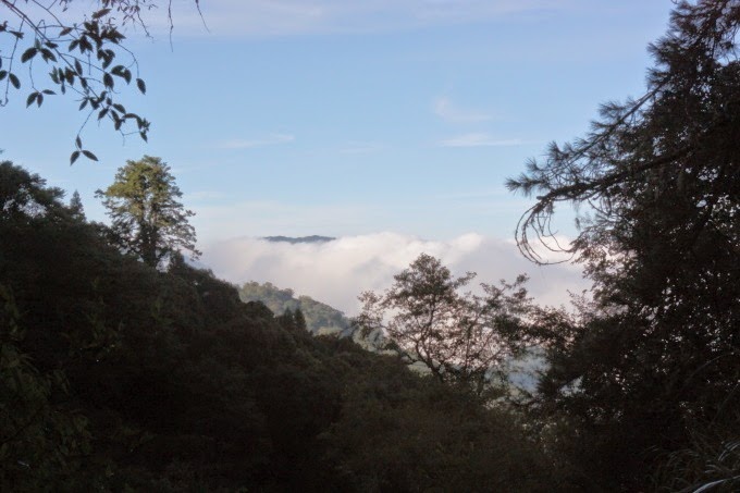 2014_1005_074108 2014_1005_074108