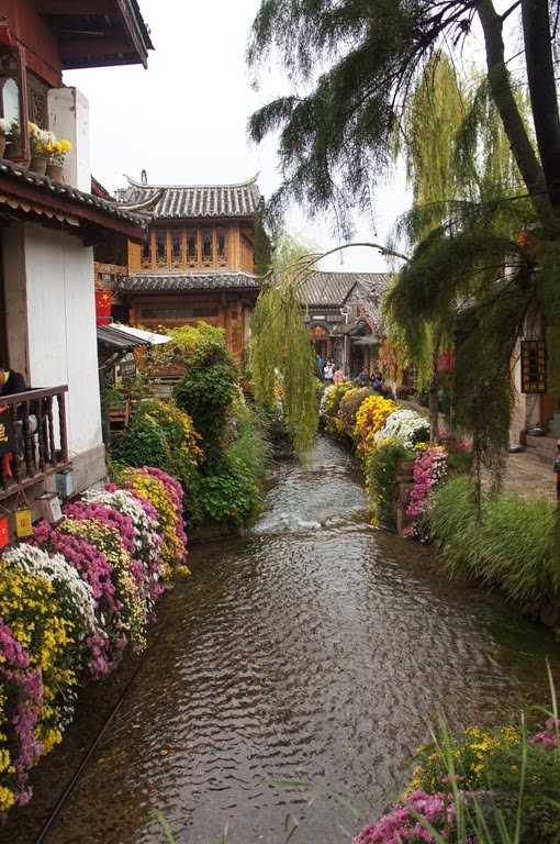 [DSC06867%255B4%255D.jpg]