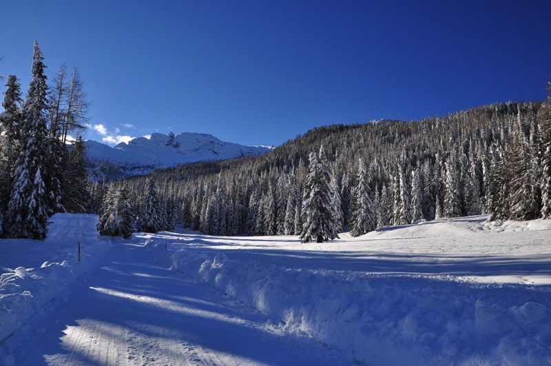 DSC_6002.JPG DSC 6002
