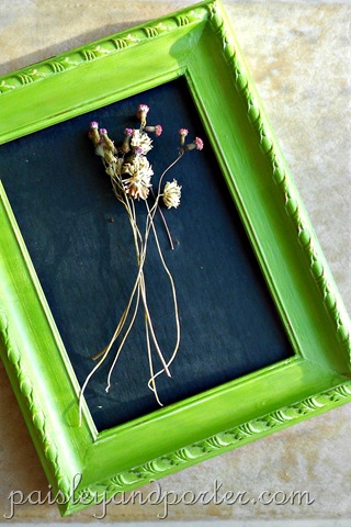 [DSCN1819-1%255B2%255D.jpg]