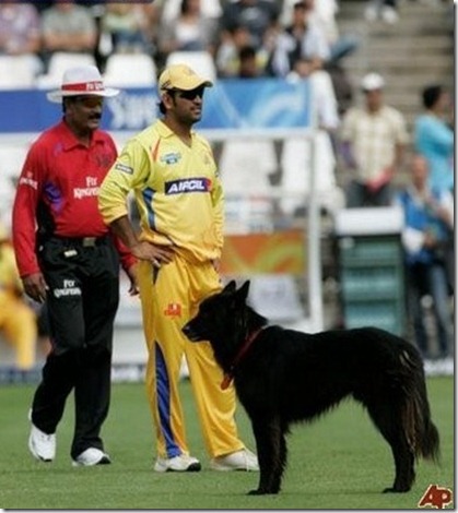 Funny Cricket Pics Scraps for Orkut (24)