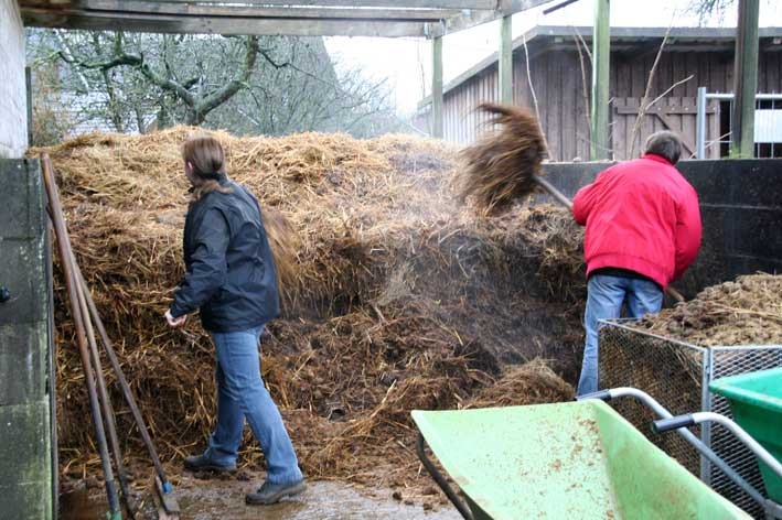 [6.1.2013_9%255B2%255D.jpg]