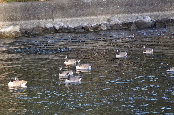 DSC_3535.JPG DSC_3535.JPG