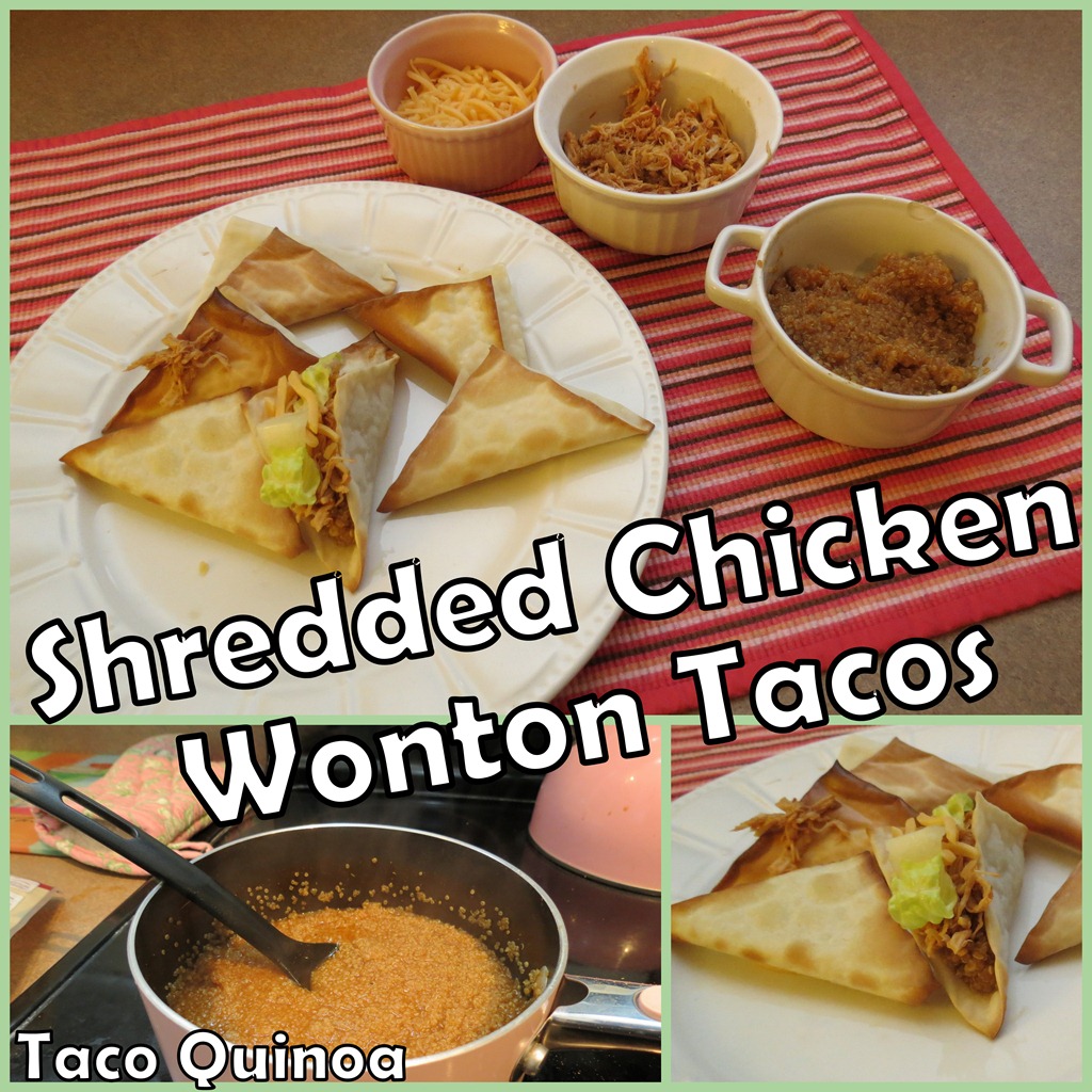 [Shredded-Chicken-Wonton-Tacos%255B4%255D.jpg]