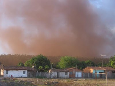 [polui%25C3%25A7%25C3%25A3o%2520pequia%255B5%255D.jpg]