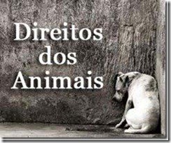 ANIMAIS