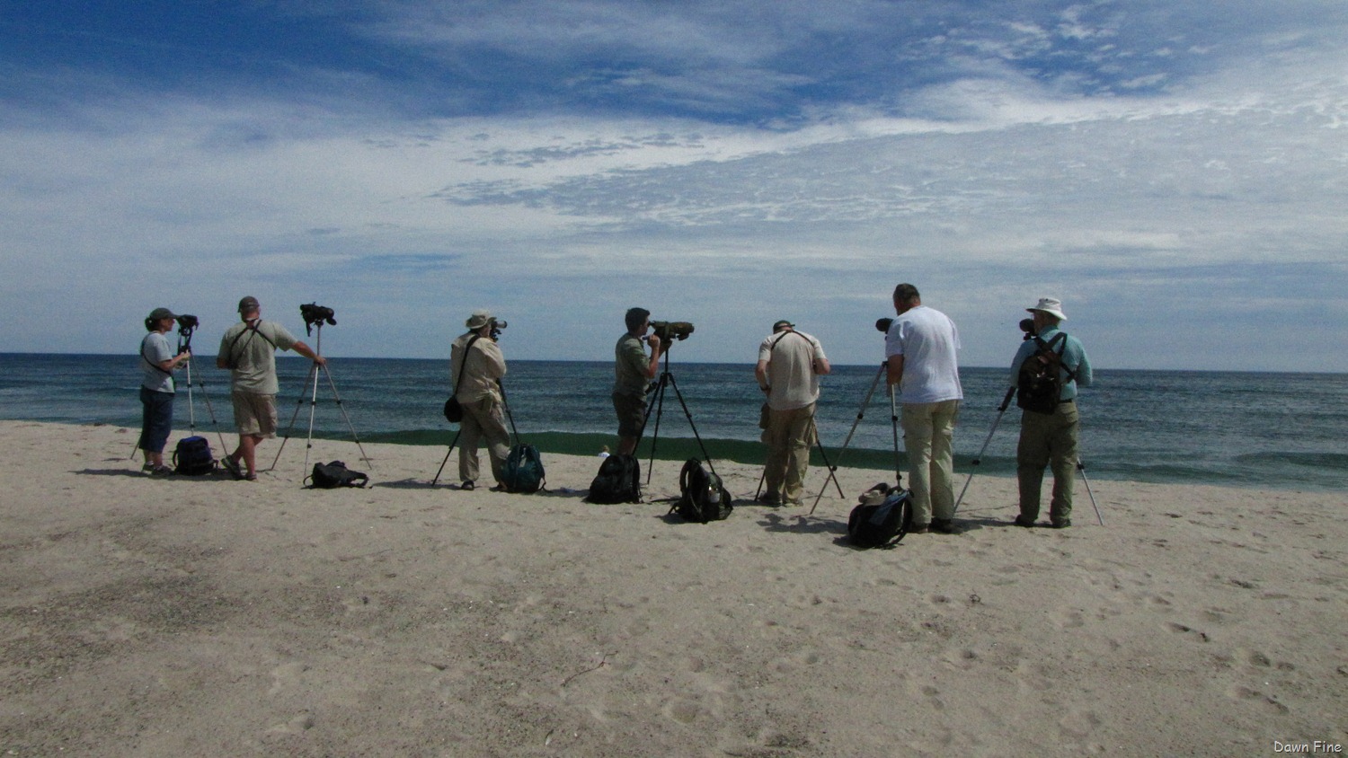 [birding-south-beach_0663.jpg]