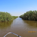 IMG_5680.JPG
