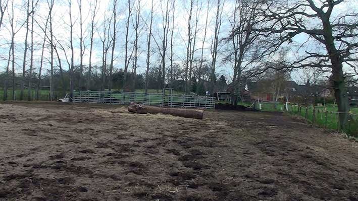 [Paddock%255B2%255D.jpg]