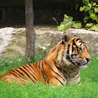 WarszawskieZoo