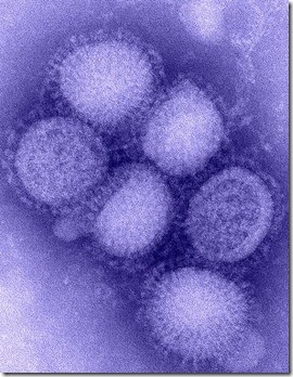H1N1588