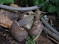 DSCF9475.JPG