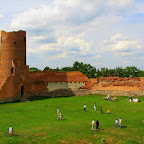 CzerskNieborowArkadia