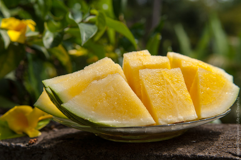 Желтый арбуз (Yellow Watermelon)