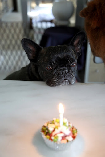 Sharkey, this cupcake is simply beautiful and I feel so honored!  Now to blow out the candles and make a wish...